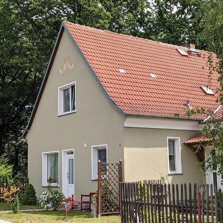 Helenes Ferienwohnung auf dem Bauernhof - Lausitzer Seenland Lauta Exterior foto