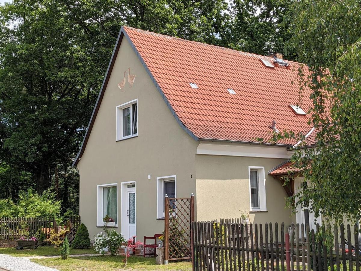 Helenes Ferienwohnung auf dem Bauernhof - Lausitzer Seenland Lauta Exterior foto