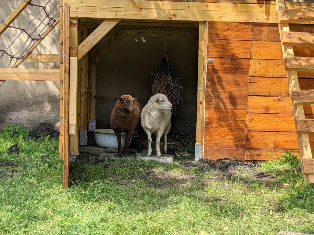 Helenes Ferienwohnung auf dem Bauernhof - Lausitzer Seenland Lauta Exterior foto