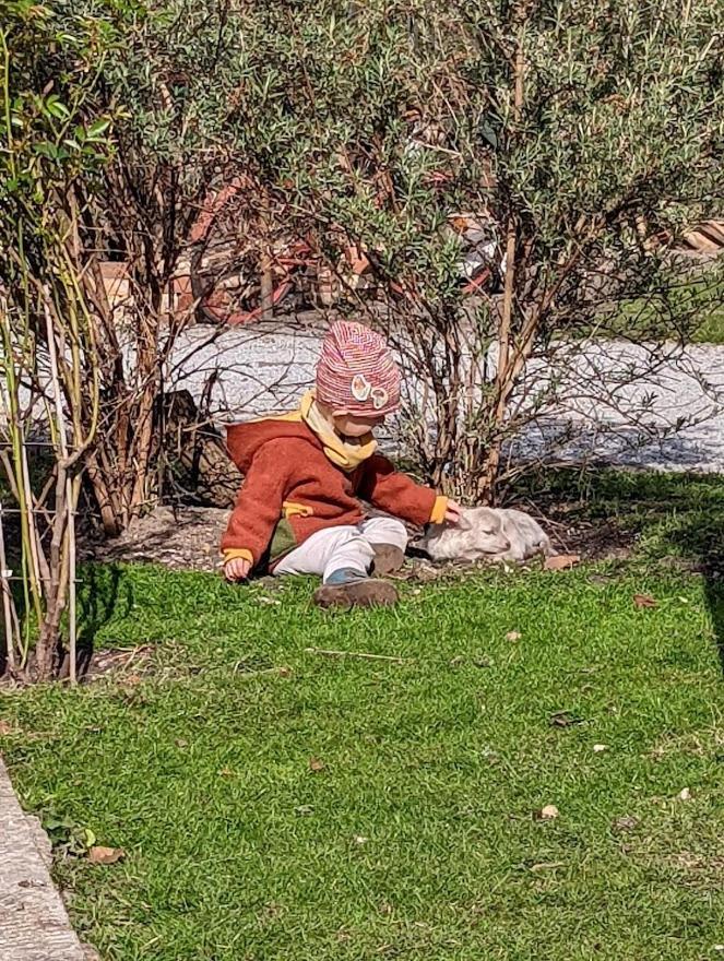 Helenes Ferienwohnung auf dem Bauernhof - Lausitzer Seenland Lauta Exterior foto